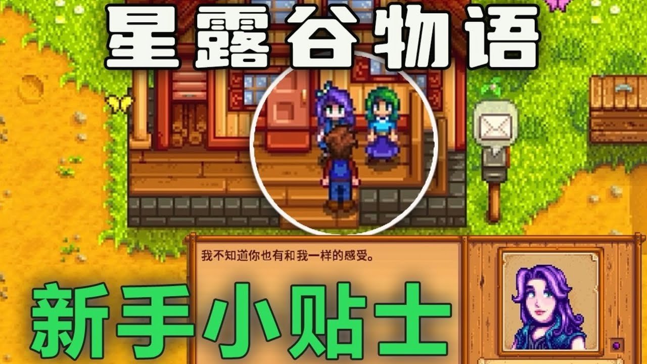 只狼：影逝二度 重制版 截图16